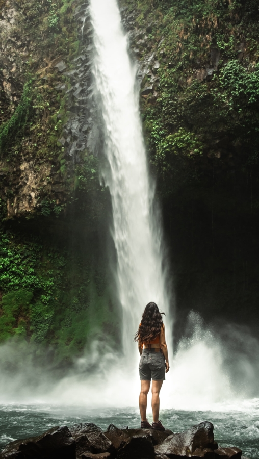 Costa Rica - Nilli Birds