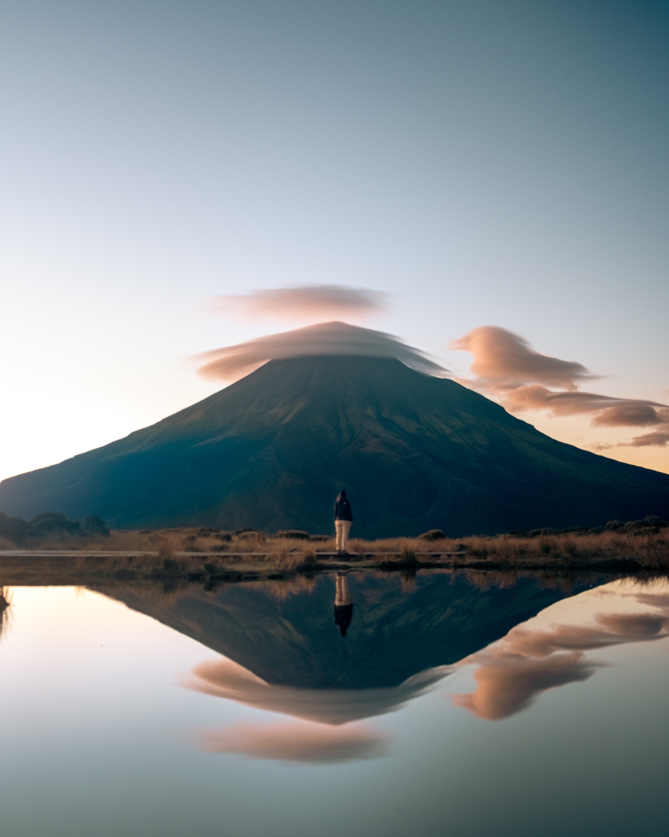 Nilli Birds- Nuova Zelanda