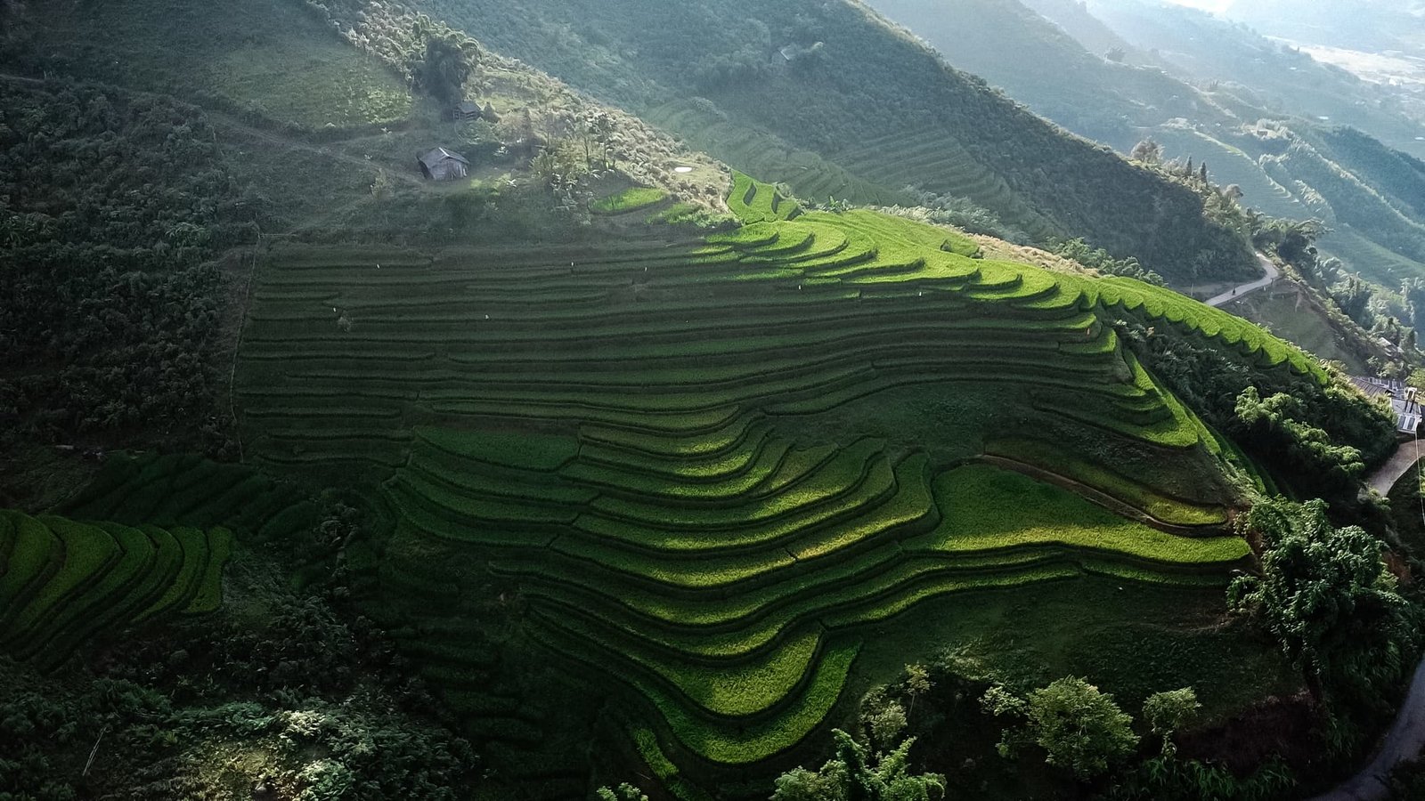 Vietnam